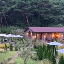 스테이하몽 이미지