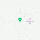 테레네 운무(TERENE UNMU) 이미지