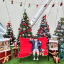 바니베어뮤지엄 이미지