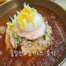 수수 | 송정 수수면가 후기 | 부산 송정 밀면집에서 밀면, 돈까스, 만두 먹어본 솔직후기