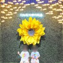 41190-01-07-111 | 단양 다누리아쿠아리움 후기 (고수동굴과 함께 가기 좋은 아이와 실내여행 코스)