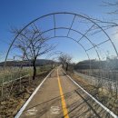 거인자동차정비 이미지