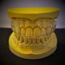 Just Fit 교정치과기공소 | Sports Mouth Guard. (격투기용)