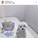 사림동253 이미지