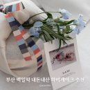 하미 | 부산 백일떡 내돈내산 하미케이크 추천 후기