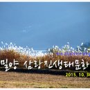 동윤주유소 | 52. 밀양 삼랑진생태문화공원 (2015. 10. 30~11. 1)