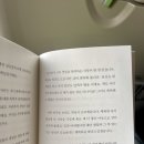 한나란제리 | 나트랑 여행🇻🇳