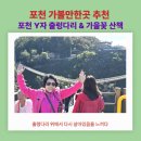 국화황토공원 | [포천 한탄강 Y자 출렁다리 &amp; 가든페스타: 가을꽃과 함께한 하루]