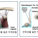 네온정형외과의원 이미지
