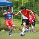 2011 전국 초등 축구리그 -경기남서 [장안초 - 수원FC 유소년 축구클럽] 이미지