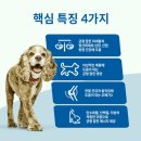닥터힐스