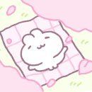 참조은능이버섯백숙