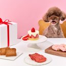 애니콩 주식회사 농업회사법인 이미지