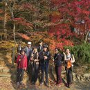 변산반도(내변산) 가을을 붙잡다 이미지