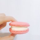 다쿠아크