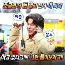 휴식가 | 대충 끄적 3(부제: 그대 반드시 행복해지세요☘️)