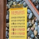 남포동아구찜 | 부산 남포동 밥집 노포 아구찜 맛집 추천 진주집 내돈내산