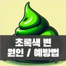 변* - 안양시 만안구 예술공원로 59 | 변*