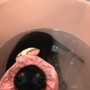 둘리유치원 이미지