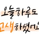 보물섬게임랜드 이미지