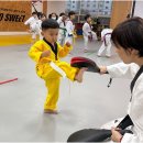 나라찬 태권도장 | 아이의 꿈을 키우는 광주광역시태권도, 나라찬태권도 방문 후기