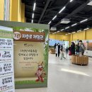 양양열쇠박사 | 경기도 아이와 실내 가볼만한곳, 여주 곤충박물관 입장료 및 체험 후기