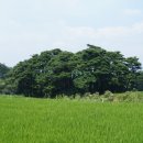 마평마을 이미지