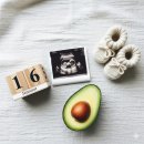 11650-16-20-6 | 임신 16주 초음파 후기 : 배크기, 태동 시기 &amp; 임산부 회, 염색 가능할까? (인천 아인병원)