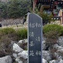 백청사 티스토리