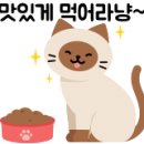 자연동산어린이집 이미지