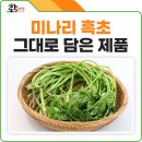 비슬청록농장