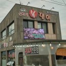 성산흑돼지복돼지