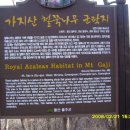 석남사주차장 이미지