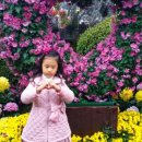 그린나눔공연예술단 이미지