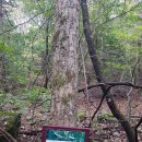 설악산오색마을 이미지