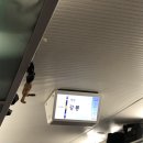 솔향한식부페 | 겨울 강릉🌊