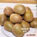큰마을 농장 | 대영농장 키위마을 보성 그린키위 5kg 10kg 대과 농장직송으로 즐기기