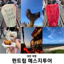 펀트립 | [대만/타이베이] 내돈내산 펀트립 예스지투어 후기(예류지질공원/스펀/지우펀)