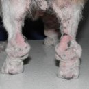 한빛동물병원 이미지