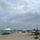 밍글