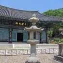 장흥군 보림사 Daum카페