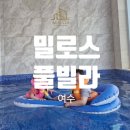 여수엑스포 1# | 여수 밀로스풀빌라 ㅣ 여수 돌산읍 아이랑 가기좋은...ㅣ 대형온수수영장 신상키즈펜션 S102호 솔직후기