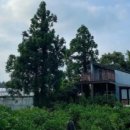 제주도작은집 작은별 이미지