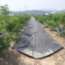 화창농원 이미지