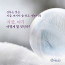 지금 여기 이미지