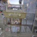 부산햄스터분양 행복햄 이미지