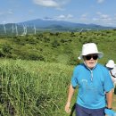 제주휴가 이미지