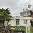 선흘 언니네 이미지