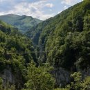 행복한나무집 이미지