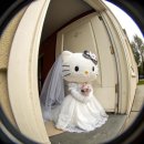 을숙도 생태공원 | w5. 셀프 웨딩촬영 후기 .. (을숙도 생태공원/다대포 해수욕장)